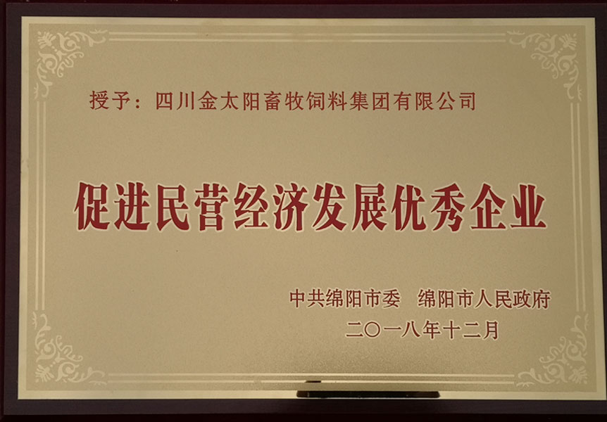 促进民(mín)营经济发展优秀企业 促进民(mín)营经济发展优秀企业